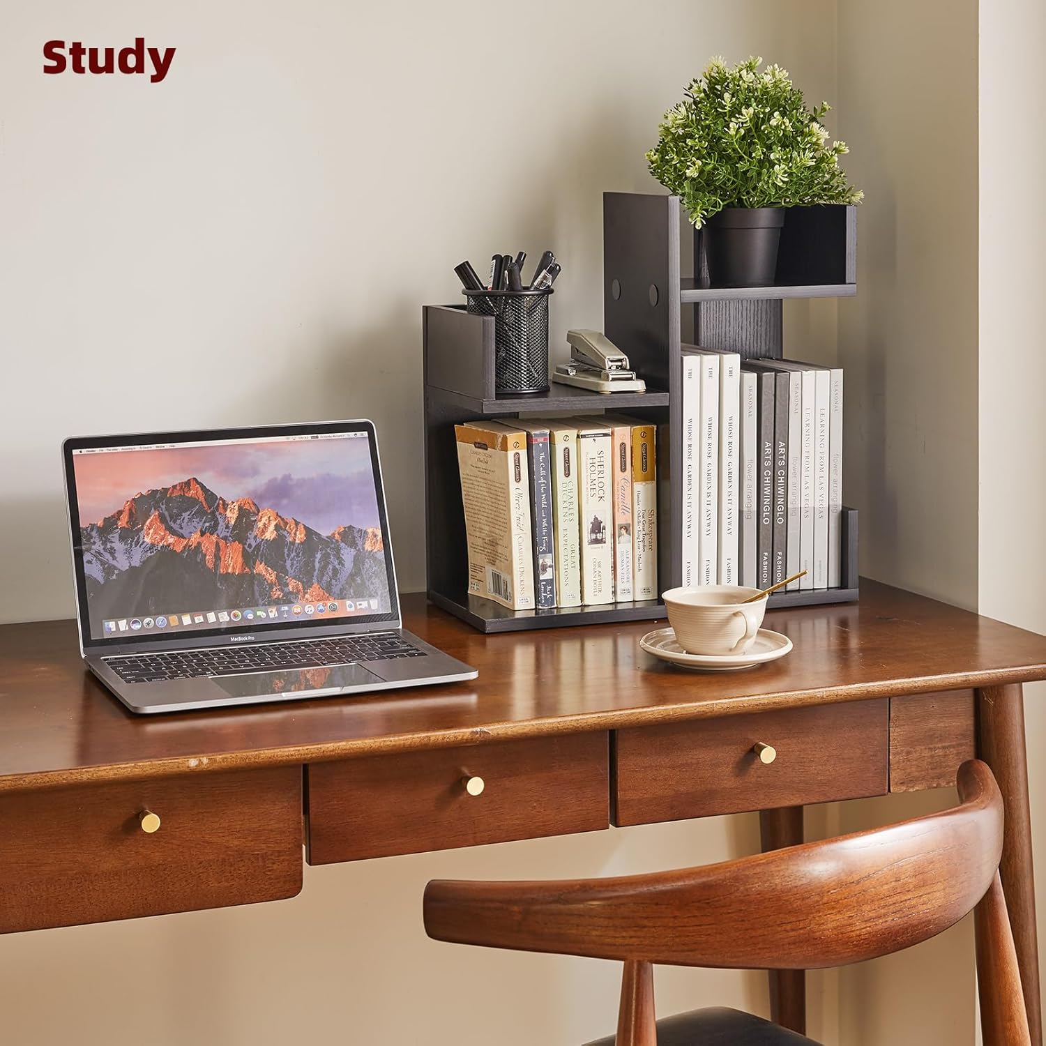 Book Organizer for Desk, Cute Desk Top Organizing, Tree Bookshelf Unique Nursery Bookcase, Book Ends for Desk, Book Holder for Shelf Black YD-DSR002B